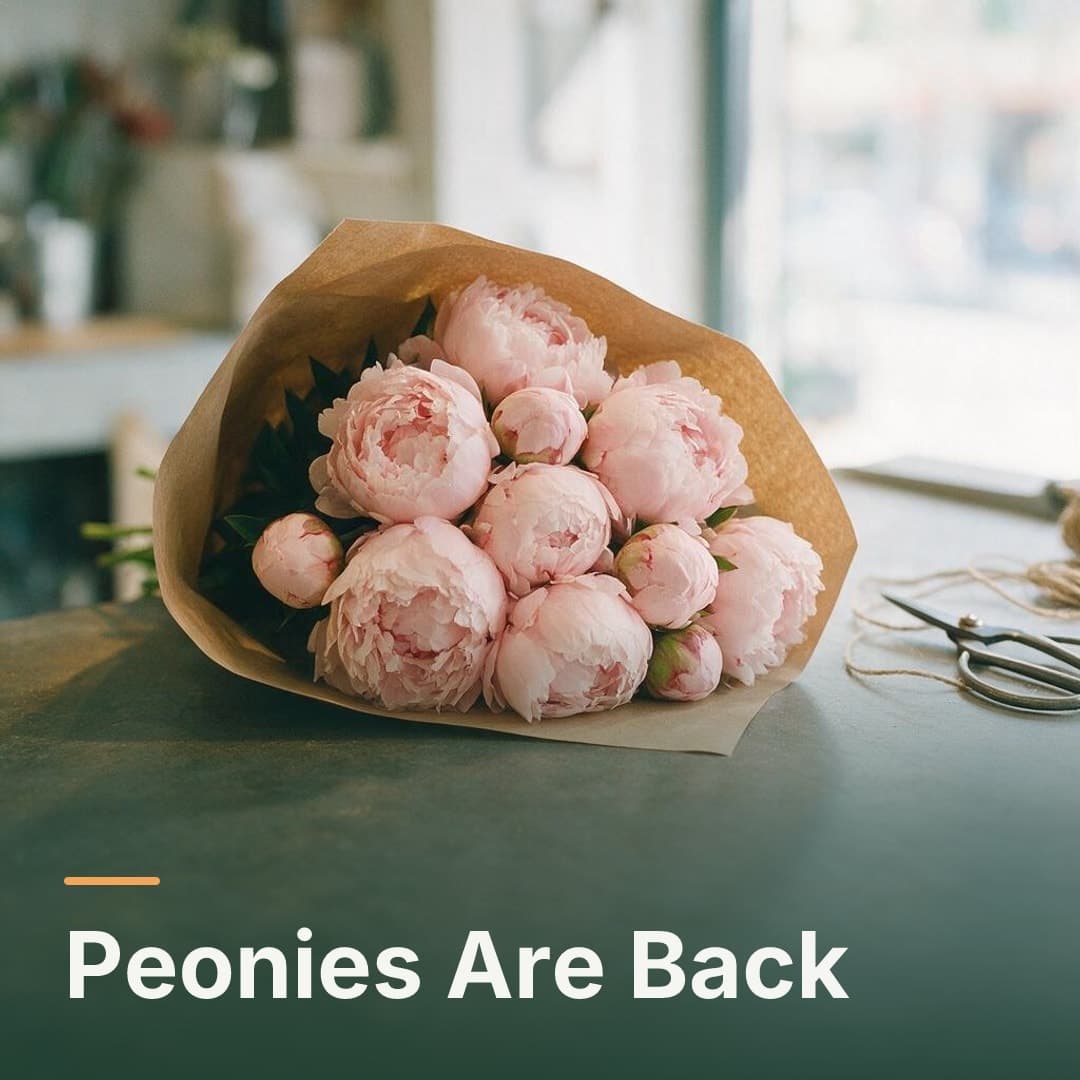 Peonies wrapped in brown paper