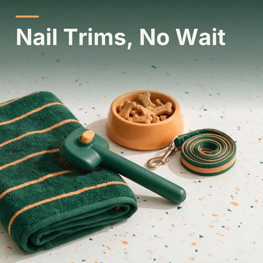 A pet towel, brush and bowl of treats